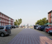 Дельфин Затока 