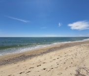 Затока центральний пляж фото 15 травня