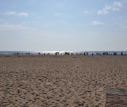 Затока станція Сонячна база відпочинку Селекція пляж липень фото